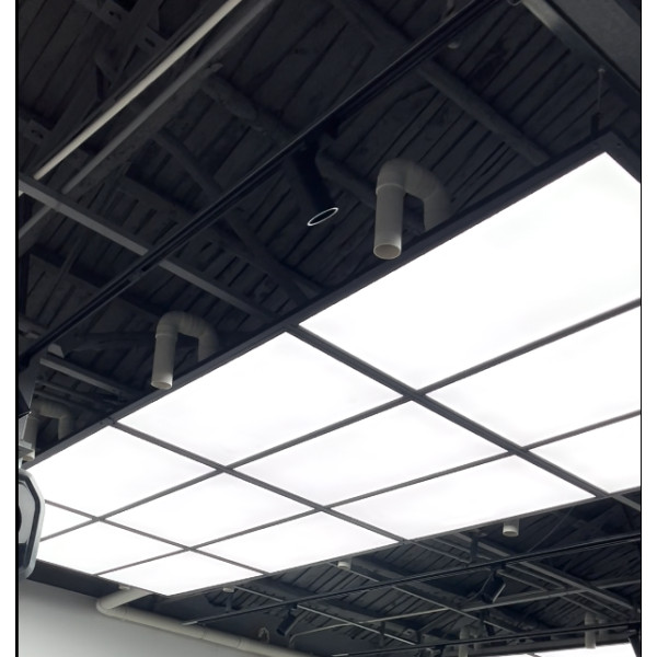 12-Grid Panel Light